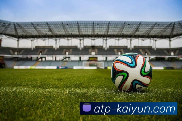 开云appAPP 封面图